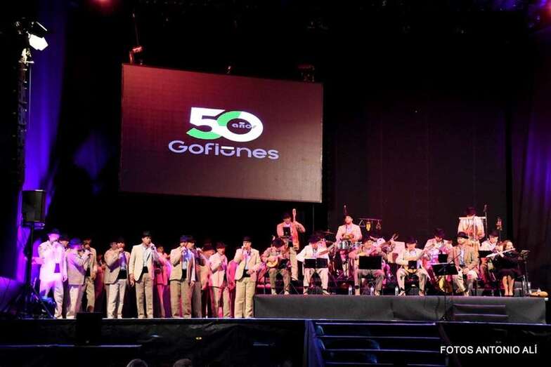Imagen del concierto del último concierto de Los Gofiones en Telde/Antonio Alí.